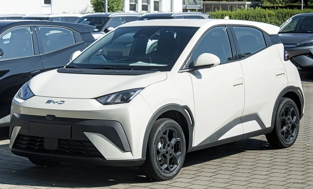 BYD Dolphin Surf